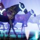 virtual-horse-racing-platform-zed-run-to-launch-a-new-wagering-channel