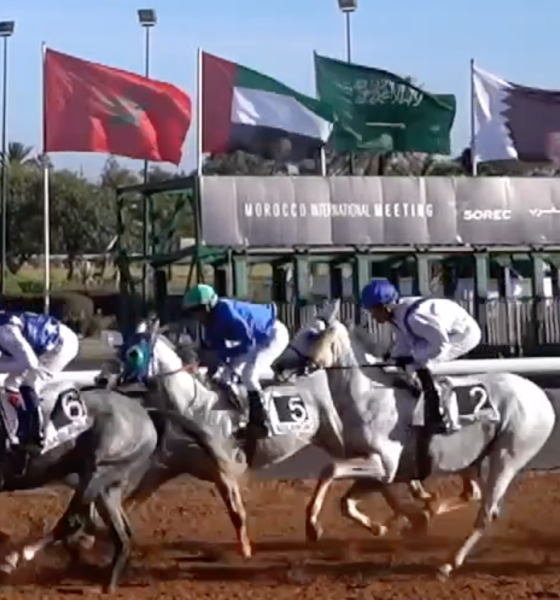 1/st-content-expands-its-reach-to-add-elite-moroccan-racing-to-burgeoning-international-portfolio