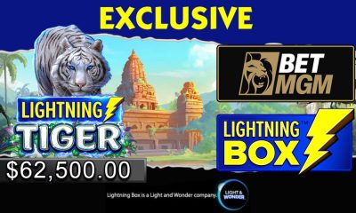 lightning-box-takes-a-journey-to-the-jungle-with-lightning-tiger