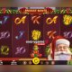 everygame-casino-introduces-a-new-christmas-slot-from-spin-logic