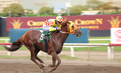 sis-sponsors-confraternity-cup-on-caribbean-classic-day-at-hipodromo-presidente-remon-racecourse