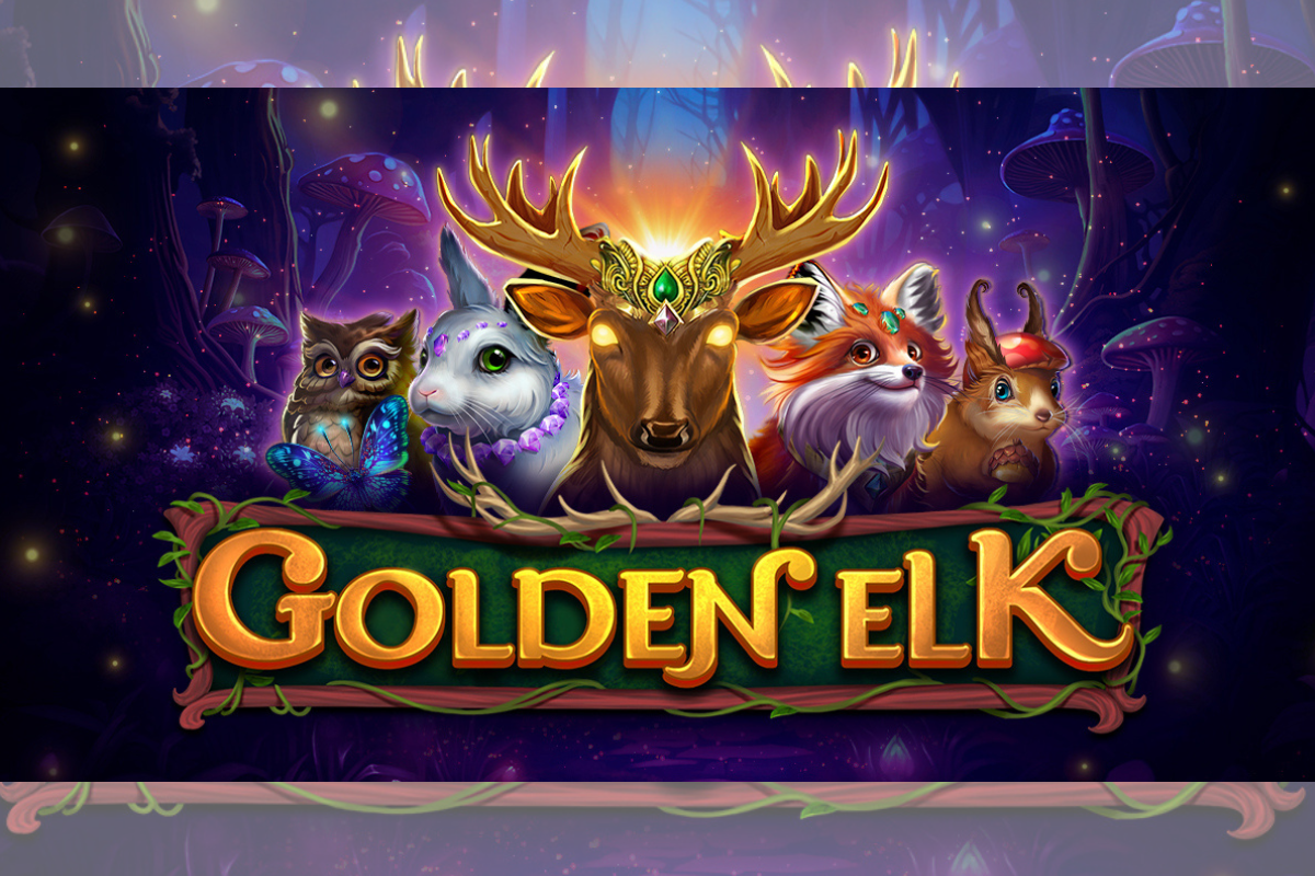 wizard-games-journeys-into-a-magical-mystery-world-in-golden-elk