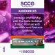 sccg-announces-strategic-partnership-with-the-india-national-tote