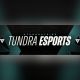 tundra-esports-announces-addition-of-ludwig-‘zai’-wahlberg-as-dota-2-general-manager-to-the-team