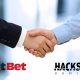 netbet-casino-joins-forces-with-hacksaw-gaming