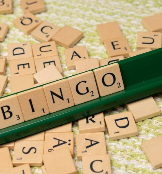 online-casino-numbers-reveals-bingo-more-popular-than-blackjack
