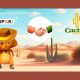 popok-gaming-partners-with-cactus-gaming