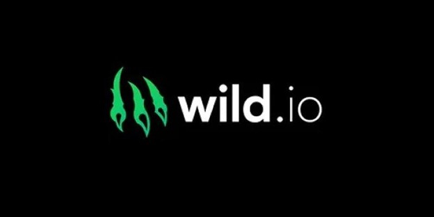 best-bitcoin-casinos-canada:-wild.io-picked-as-the-top-crypto-casino-in-canada
